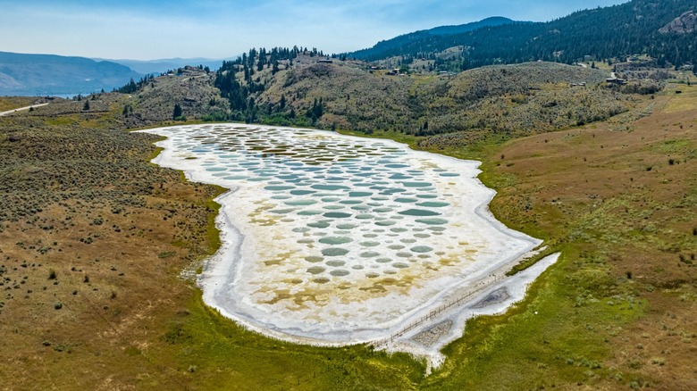 Spotted Lake with colorful circles