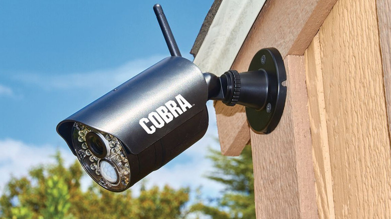 outdoor cobra security camera