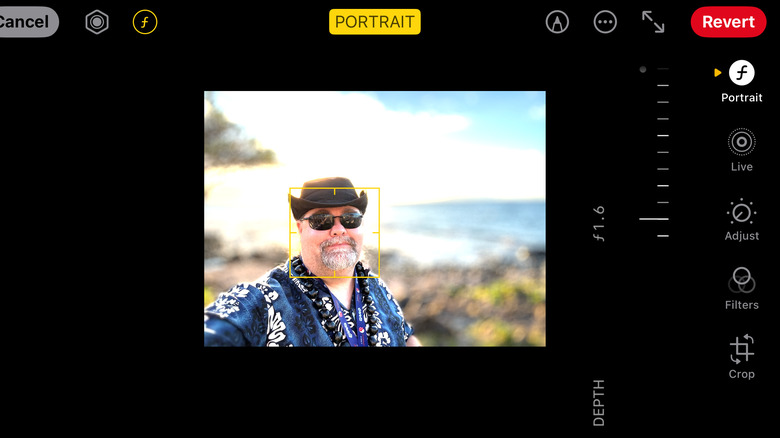 iPhone in Portrait Mode