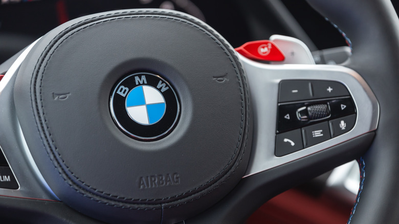 BMW voice control buttons